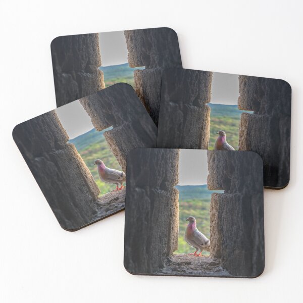 Item preview, Pigeon Perched in Castle Wall Arrowslit designed and sold by EllenNortt.