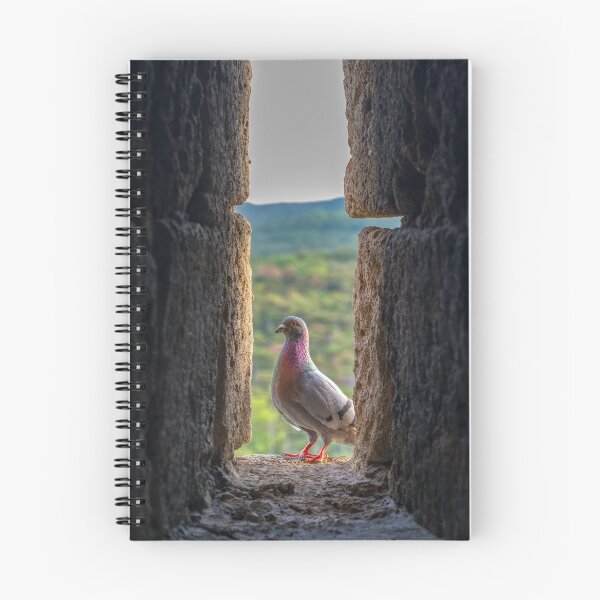 Item preview, Pigeon Perched in Castle Wall Arrowslit designed and sold by EllenNortt.