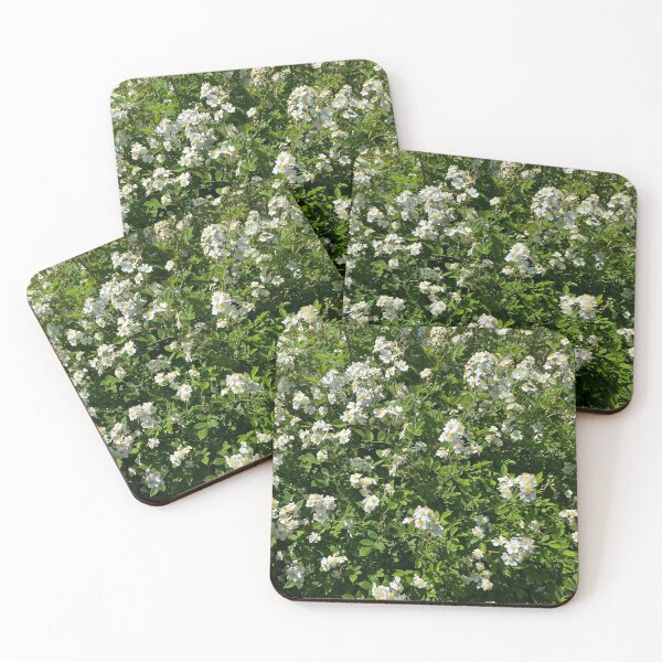 Item preview, Wild White Roses | EDINSTEPPE Collection designed and sold by E D I N S T E P P E.
