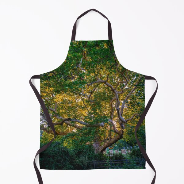 Item preview, Majestic Old Sycamore Tree in Golden Light designed and sold by EllenNortt.