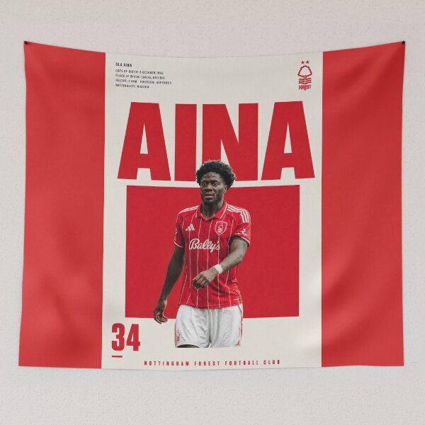 Item preview, Ola Aina designed and sold by Sector 99.