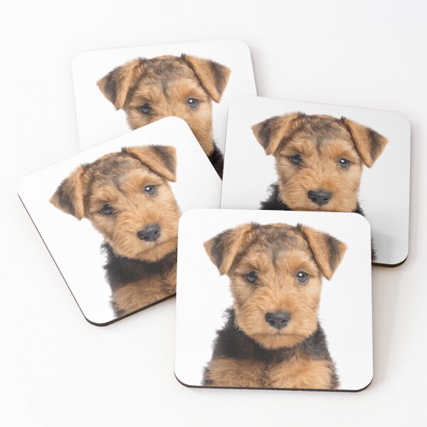 Item preview, Adorable Lakeland Terrier puppy for Cute Fell Terrier puppy lovers designed and sold by LazyOwlStore.