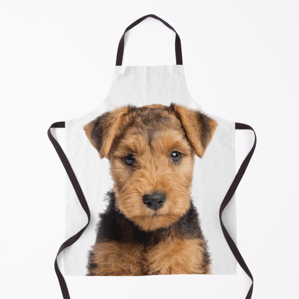 Item preview, Adorable Lakeland Terrier puppy for Cute Fell Terrier puppy lovers designed and sold by LazyOwlStore.