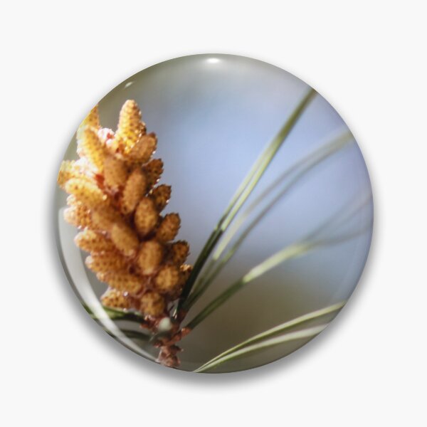 Item preview, Close-Up Pine Cone On Branch With Soft Focus Pine Needles And Natural Outdoor Lighting designed and sold by Nmallia.
