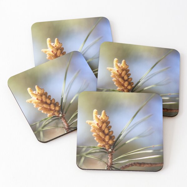 Item preview, Close-Up Pine Cone On Branch With Soft Focus Pine Needles And Natural Outdoor Lighting designed and sold by Nmallia.