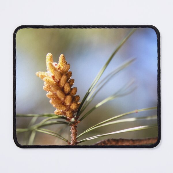 Item preview, Close-Up Pine Cone On Branch With Soft Focus Pine Needles And Natural Outdoor Lighting designed and sold by Nmallia.
