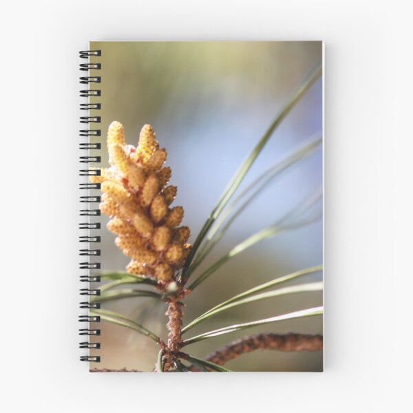 Item preview, Close-Up Pine Cone On Branch With Soft Focus Pine Needles And Natural Outdoor Lighting designed and sold by Nmallia.