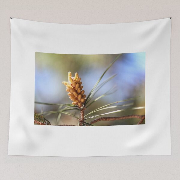 Item preview, Close-Up Pine Cone On Branch With Soft Focus Pine Needles And Natural Outdoor Lighting designed and sold by Nmallia.