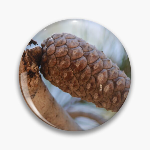 Item preview, Close-Up Pine Cone On Branch With Soft Focus Pine Needles And Natural Outdoor Lighting designed and sold by Nmallia.