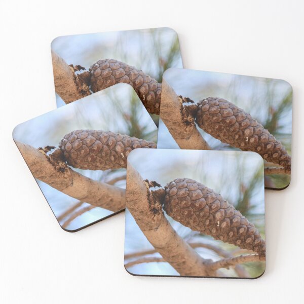 Item preview, Close-Up Pine Cone On Branch With Soft Focus Pine Needles And Natural Outdoor Lighting designed and sold by Nmallia.