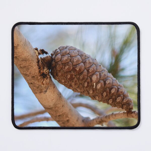 Item preview, Close-Up Pine Cone On Branch With Soft Focus Pine Needles And Natural Outdoor Lighting designed and sold by Nmallia.