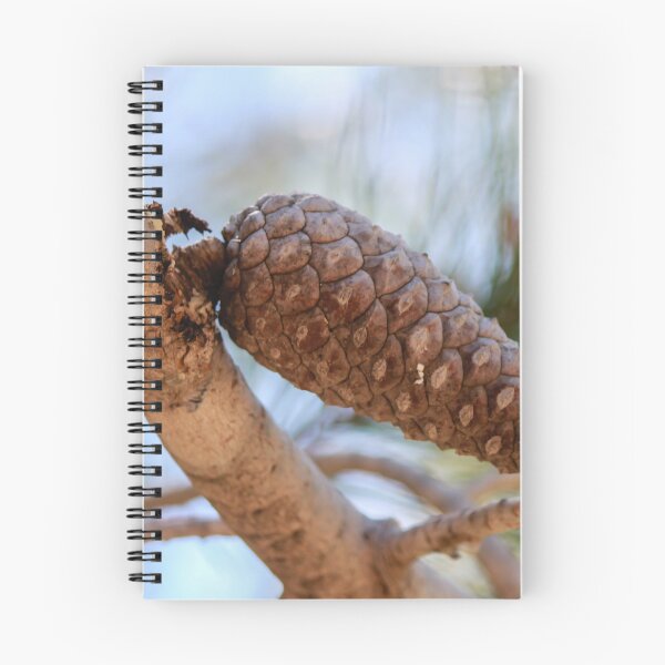 Item preview, Close-Up Pine Cone On Branch With Soft Focus Pine Needles And Natural Outdoor Lighting designed and sold by Nmallia.