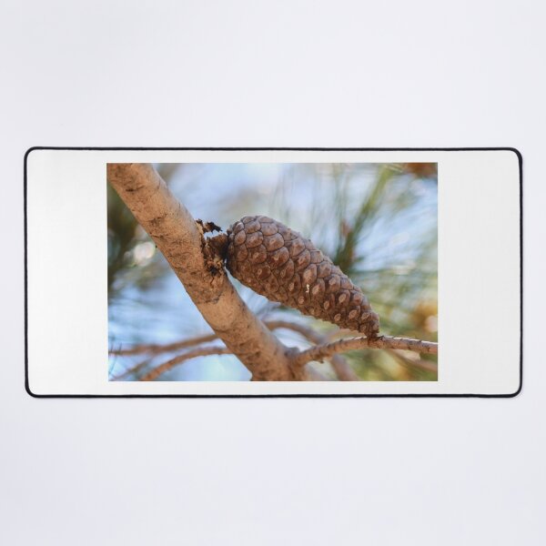Item preview, Close-Up Pine Cone On Branch With Soft Focus Pine Needles And Natural Outdoor Lighting designed and sold by Nmallia.