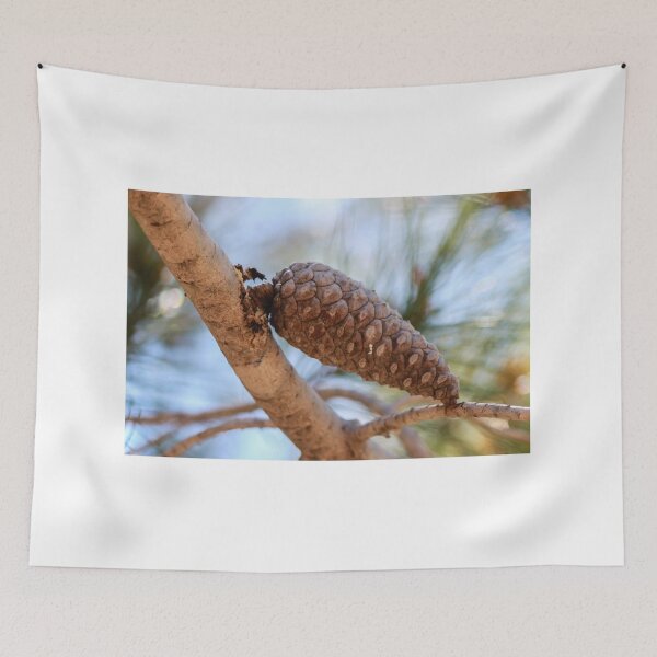 Item preview, Close-Up Pine Cone On Branch With Soft Focus Pine Needles And Natural Outdoor Lighting designed and sold by Nmallia.