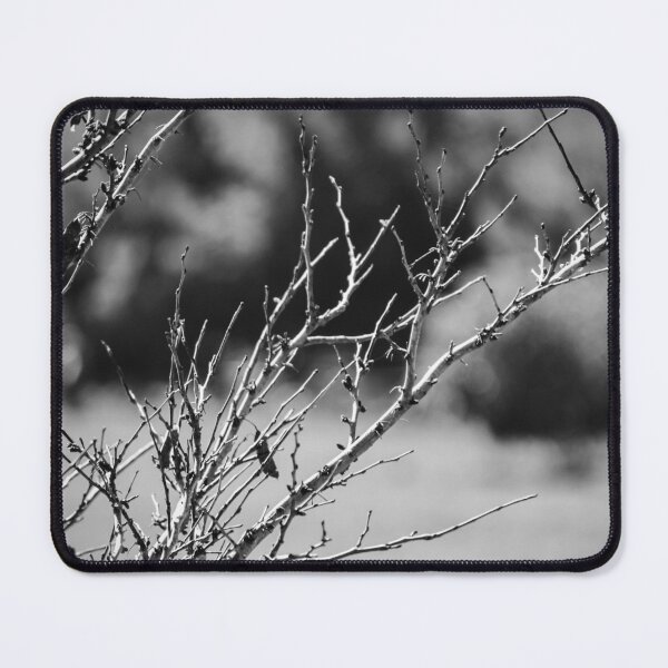Item preview, Black and White Close-Up of Bare Winter Branches and Twigs With Soft Bokeh Background designed and sold by Nmallia.