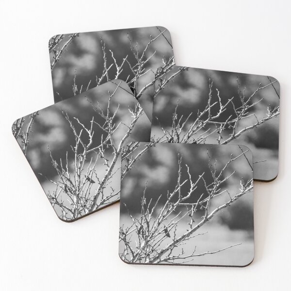 Item preview, Black and White Close-Up of Bare Winter Branches and Twigs With Soft Bokeh Background designed and sold by Nmallia.