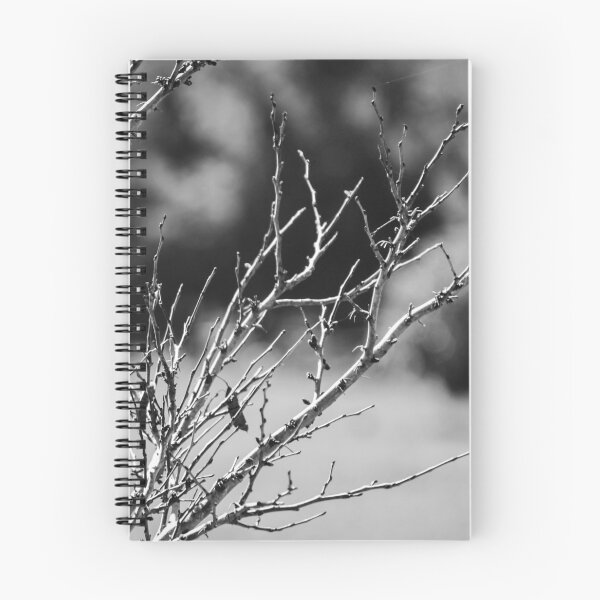 Item preview, Black and White Close-Up of Bare Winter Branches and Twigs With Soft Bokeh Background designed and sold by Nmallia.