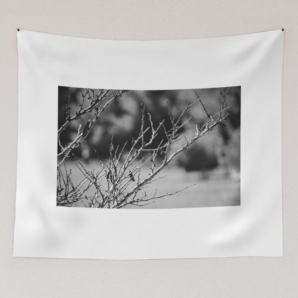 Item preview, Black and White Close-Up of Bare Winter Branches and Twigs With Soft Bokeh Background designed and sold by Nmallia.