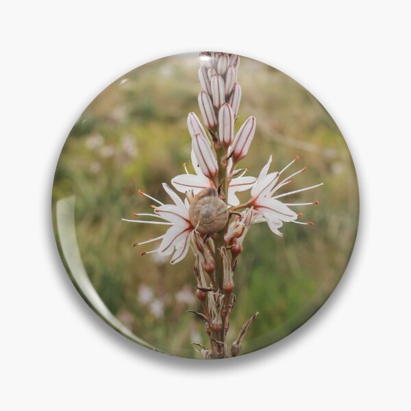 Item preview, Wildflower With Small Snail On Delicate White Bloom In Meadow Landscape Close-Up designed and sold by Nmallia.