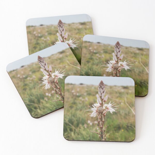 Item preview, Wildflower With Small Snail On Delicate White Bloom In Meadow Landscape Close-Up designed and sold by Nmallia.