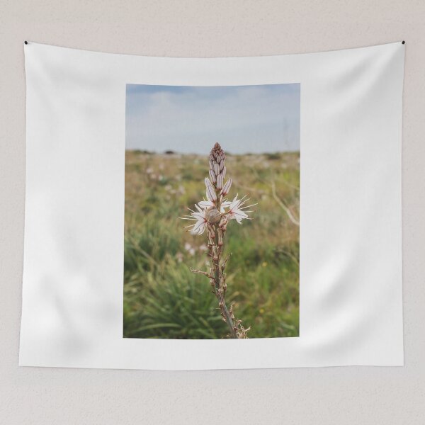 Item preview, Wildflower With Small Snail On Delicate White Bloom In Meadow Landscape Close-Up designed and sold by Nmallia.