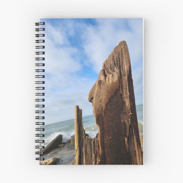 Item preview, Driftwood on Lake Michigan designed and sold by MinaBohl.
