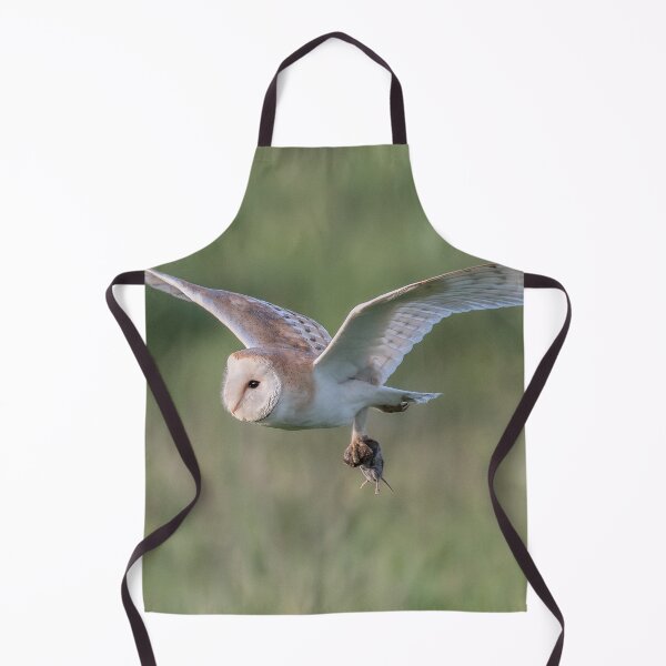 Item preview, Barn owl with its prey designed and sold by tynesidephotos.