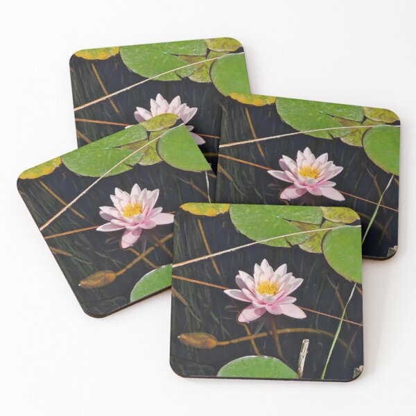 Item preview, pink waterlily designed and sold by psychoshadow.