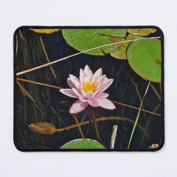 Item preview, pink waterlily designed and sold by psychoshadow.
