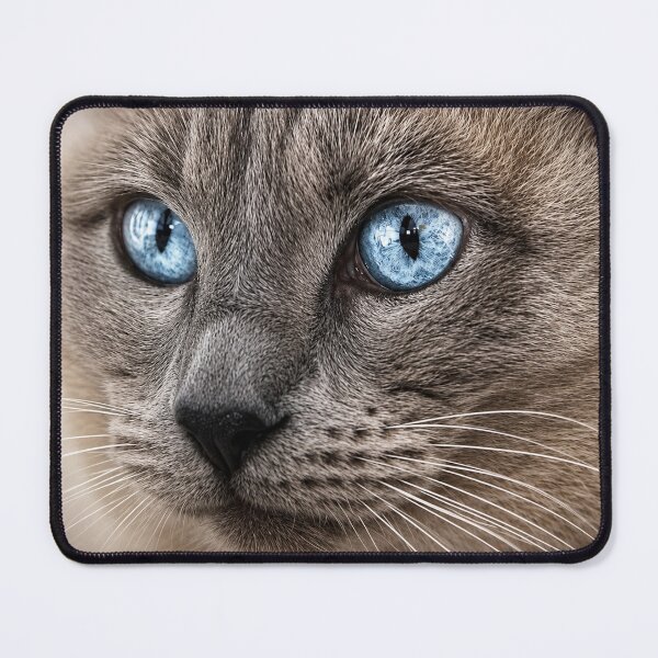 Item preview, Ice Blue Gaze designed and sold by Kimberly Palmer.