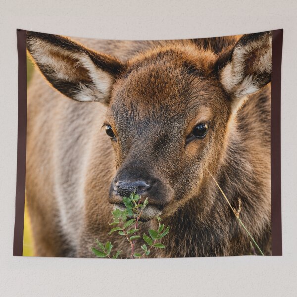 Item preview, Elk Calif designed and sold by Kimberly Palmer.