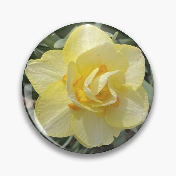 Item preview, Double Daffodil Yellow and Orange Narcissus Flower designed and sold by greyforaday.