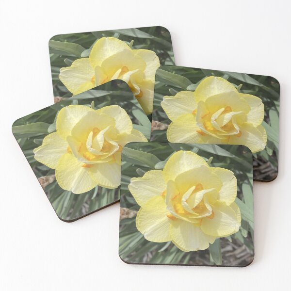 Item preview, Double Daffodil Yellow and Orange Narcissus Flower designed and sold by greyforaday.