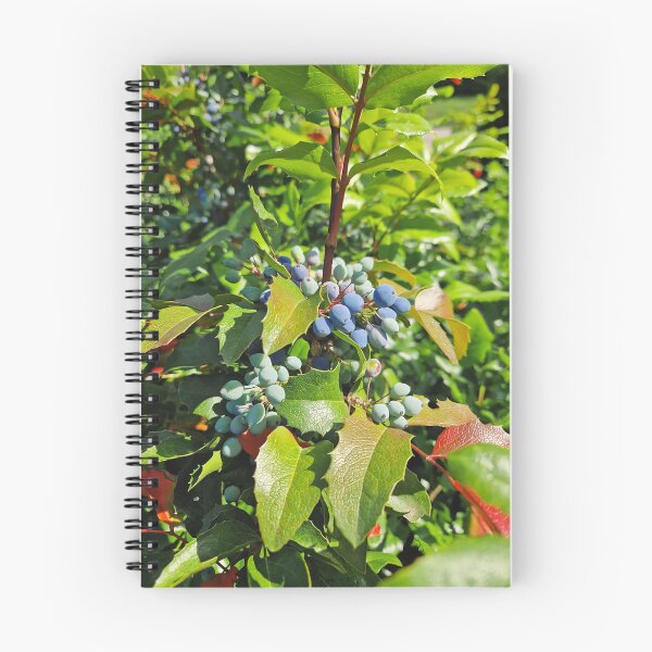 Item preview, Berberis aquifolium designed and sold by psychoshadow.