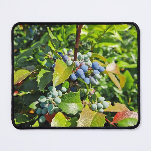 Item preview, Berberis aquifolium designed and sold by psychoshadow.