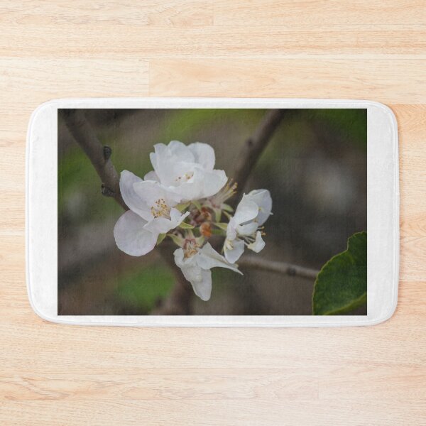 Item preview, Delicate White Blossom On Branch With Soft Spring Bokeh Background designed and sold by Nmallia.