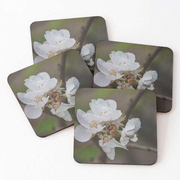 Item preview, Delicate White Blossom On Branch With Soft Spring Bokeh Background designed and sold by Nmallia.