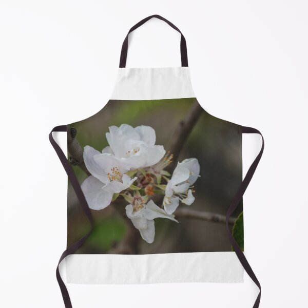 Item preview, Delicate White Blossom On Branch With Soft Spring Bokeh Background designed and sold by Nmallia.