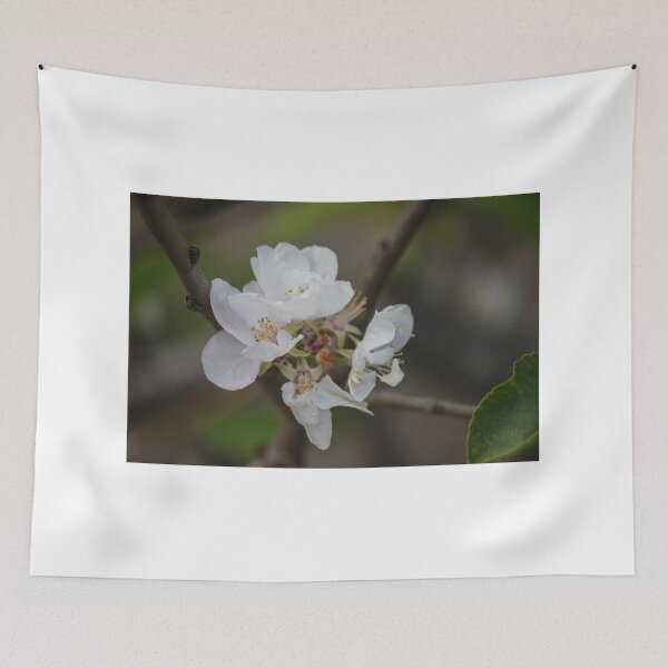 Item preview, Delicate White Blossom On Branch With Soft Spring Bokeh Background designed and sold by Nmallia.