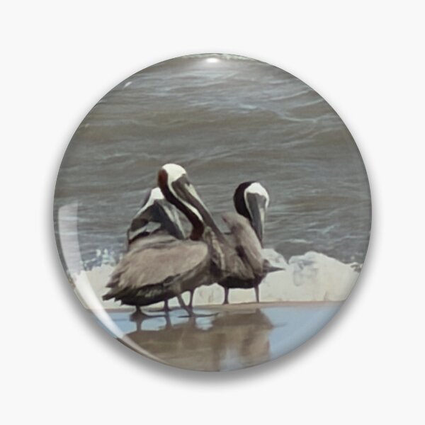 Item preview,     Brown Pelican Perched on the beach. designed and sold by Pearls1.