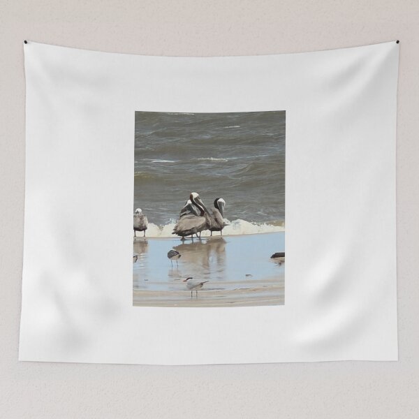 Item preview,     Brown Pelican Perched on the beach. designed and sold by Pearls1.