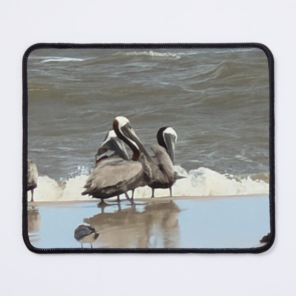 Item preview, Brown Pelican Perched on the beach. designed and sold by Pearls1.