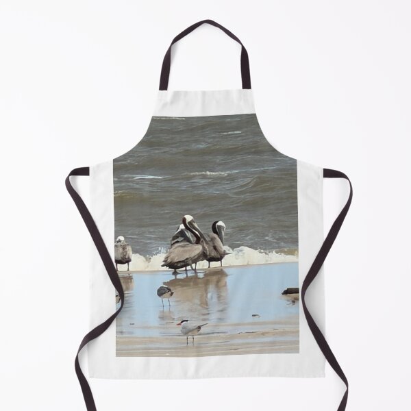 Item preview, Brown Pelican Perched on the beach. designed and sold by Pearls1.