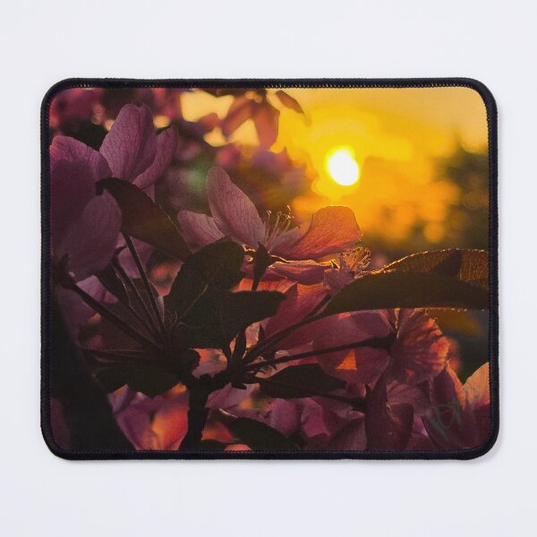 Item preview, Sunrise light designed and sold by LainaCoopPhotos.