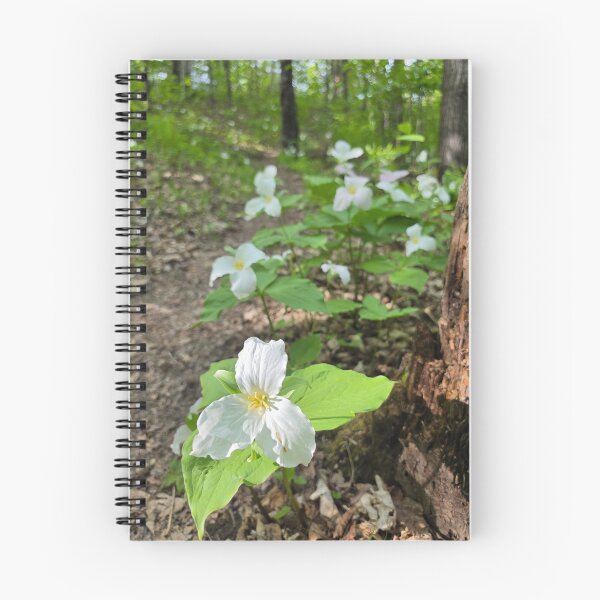 Item preview, Amoung the Trillium designed and sold by LainaCoopPhotos.