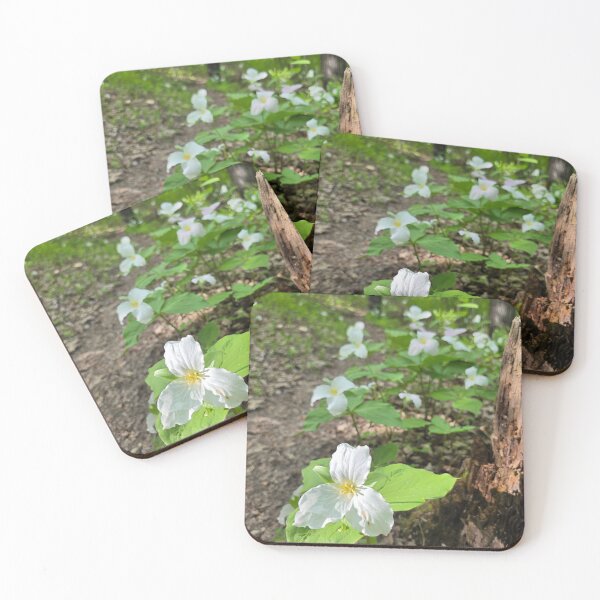 Item preview, Amoung the Trillium designed and sold by LainaCoopPhotos.