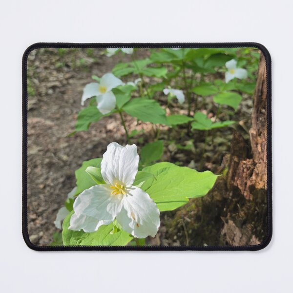 Item preview, Amoung the Trillium designed and sold by LainaCoopPhotos.