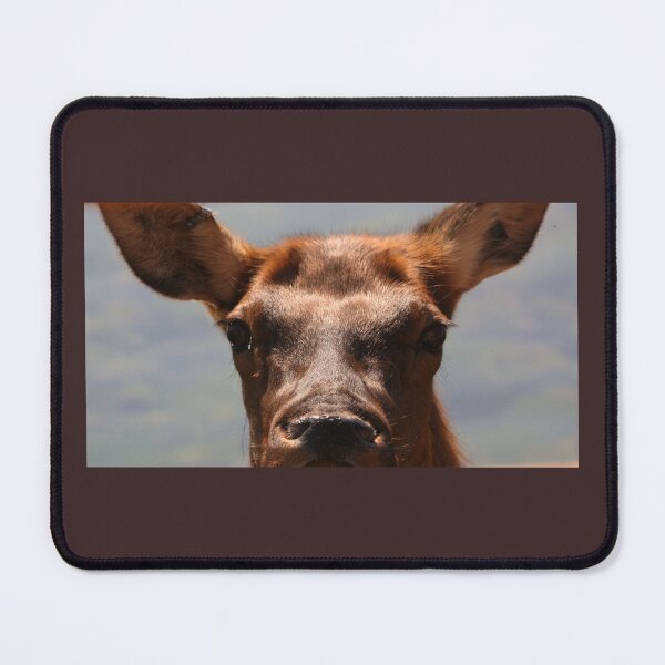 Item preview, Miss Elk designed and sold by Kimberly Palmer.