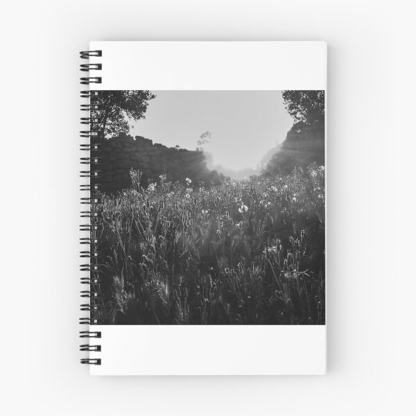 Item preview, Backlit Wildflower Meadow at Sunrise With Stone Wall and Trees in Black and White designed and sold by Nmallia.