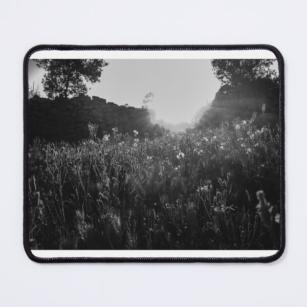 Item preview, Backlit Wildflower Meadow at Sunrise With Stone Wall and Trees in Black and White designed and sold by Nmallia.